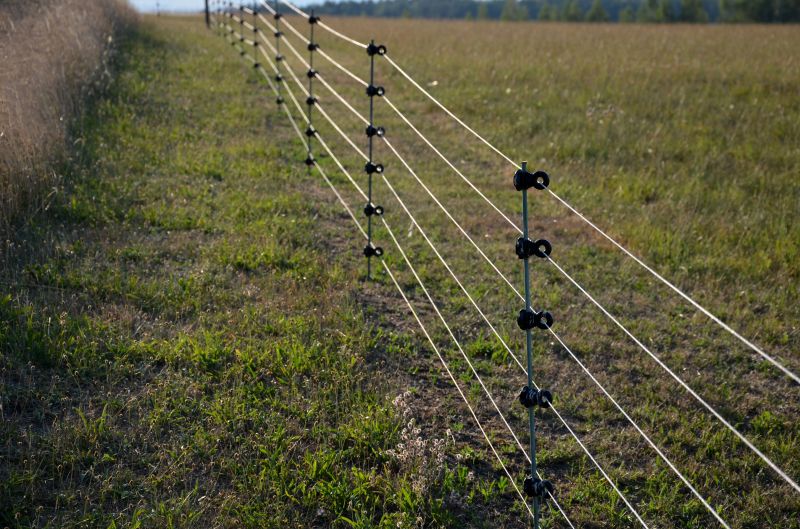 Pet Fence Installation Cost — Cost of Pet Fence Installation
